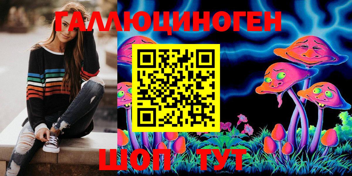 Псилоцибиновые грибы Psilocybine cubensis Севастополь