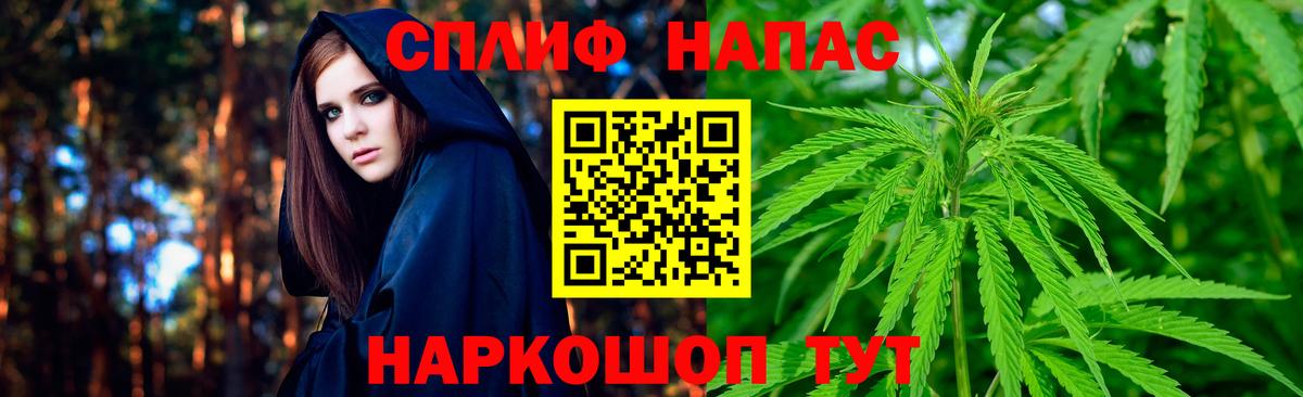 Бошки Шишки ГИДРОПОН Севастополь